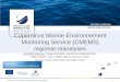 CMEMS regional reanalyses - Copernicus Climate … · Copernicus Marine Environnement Monitoring Service (CMEMS) regional reanalyses 19/05/2016 C3S Regional Reanalysis Workshop, Reading