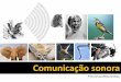Comunicação sonora - UNESP: Câmpus de Botucatu · Fontes sonoras Cordas vibrantes ... cordas vocais, etc.); Tubos sonoros (órgão, flauta, oboé. etc.); Membranas e placas vibrantes