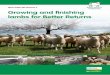 EBLEX SHEEP BRP MANUAL 5 Growing and finishing lambs for Better Returnsbeefandlamb.ahdb.org.uk/wp/wp-content/uploads/2014/07/... · 2017-03-27 · Growing and finishing lambs for