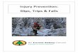 Injury Prevention: Slips, Trips & Falls - BC Forest Safety ... · Injury Prevention: Slips, Trips & Falls April 2012 How to use this tool ... • Warm-up and stretch to prepare your