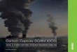 Carbon Capture SCAM (CCS) - greenpeace.org · Page 3 ARRA – American Recovery and Reinvestment Act CBO – Congressional Budget Office CCPI – Clean Coal Power Initiative CCS –