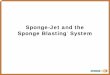 Sponge-Jet and the Sponge Blasting presentations 2005/Sept 9 2005/Parrallel Section 2... · PDF fileWhy Create 5,500 Times the Dust? Blasting with Sponge Media™ abrasives can reduce