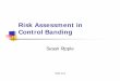 Risk Assessment in Control Banding Ripple YPSW - tera.org Assessment in Control... · Assessment WOEL/Hazard Band substance allocated to a hazard group or hazard band Exposure Band