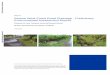 Samoa West Coast Road Drainage - Preliminary Environmental Assessment ... Samoa West Coast Road
