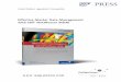 Effective Master Data Management with SAP … Walker, Jagadeesh Ganapathy Effective Master Data Management with SAP® NetWeaver MDM Bonn Boston 223 book.indb 3 8/5/08 10:55:01 AM