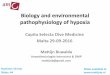 Biology and environmental pathophysiology of hypoxia and environmental... · Biology and environmental pathophysiology of hypoxia Capita Selecta Dive Medicine Malta 29-09-2016 Mattijn