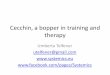 Cecchin, a bopper in training and therapy - systemics.eu · Stefano Bollani jazzist piano player . Levity and improvisation Improvising is a serious business which follows a ... Cecchin,