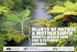 Rights of Nature & Mother Earth: Rights-based law for ...€¦ · 5 Rights of Nature other Earth: Rightsbased la for Sstemic Change The Stillheart Declaration on the Rights of Nature