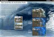 A total of 193 anchialine pools have been mapped at Kaloko ... · potentially nascent anchialine pools, can be factored in. ... by Lisa Marrack and Patrick O'Grady from the University