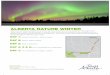 ALBERTA NATURE WINTER - prismic.io · ALBERTA NATURE WINTER ... ski through the city’s winding river valley, ... phenomena on Earth. Your clients will learn the tricks to