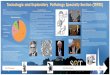 Toxicologic and Exploratory Pathology Specialty … · Toxicologic and Exploratory Pathology Specialty Section (TEPSS) Our Goal: TEPSS aims to establish scientific and educational