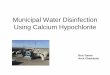 Municipal Water Disinfection Using Calcium Hypochloritehwea.org/wp-content/uploads/2015/03/28_MunicipalWt... · Municipal Water Disinfection Using Calcium Hypochlorite Ron Turner