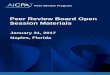 Peer Review Board Open Session Materials Peer ... - AICPA · Peer Review Board Peer Review Board Open Session Materials January 31, 2017 Naples, ... is sufficiently comprehensive