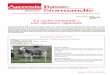 La vache normande : une signature régionale - agresteagreste.agriculture.gouv.fr/IMG/pdf/R2512A23.pdf · Ainsi, l’augmentation du chep-tel s’est accompagnée d’une augmen-tation
