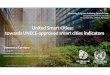 D.Carriero - United Smart Cities towards unece-approved ... · 18/05/2015 · Title: Microsoft PowerPoint - D.Carriero - United Smart Cities_towards unece-approved smart cities indicators