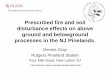 Prescribed fire and soil disturbance effects on above ... Gray... · Prescribed fire and soil disturbance effects on above ground and belowground processes in the NJ Pinelands. Dennis