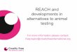 REACH and developments in alternatives to animal testing · REACH and developments in alternatives to animal ... Annex XI adaptation to waive study 