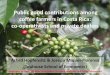 Public good contributions among coffee farmers in Costa ...Andreas.Herzig/Org/WsSintelnet12/Slides/... · Public good contributions among coffee farmers in Costa Rica: ... final prices