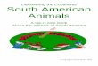 Discovering the Continents South American Animalswatermark.currclick.com/pdf_previews/27432-sample.pdf · Welcome to the wonderful world of South American Animals. For the sake of