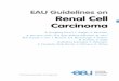 EAU Guidelines on Renal Cell Carcinoma - uroweb.org · 4 RENAL CELL CARCINOMA - LIMITED UPDATE MARCH 2017 7.4.2.2 Interleukin-2 32 7.4.2.3 Vaccines and targeted immunotherapy 32 7.4.2.4