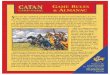 Catan Card Game, · The first player chooses one stack of Expansion Cards, and chooses three cards from that stack to begin the game with. The other player chooses a different stack