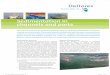 Sedimentation in channels and ports - Deltares - Enabling … · 2014-12-19 · This brochure illustrates the capabilities of Deltares related to predicting sedimentation in navigation