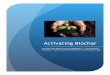 Activating Biochar - Custom Biologicals - Home of Biota Maxliving-soils.com/wp-content/uploads/2012/11/Biochar-and... · 2014-06-03 · Activating Biochar with BiotaMax has a number