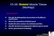 Ch 10: Skeletal Muscle Tissue (Myology) - Las Positas …lpc1.clpccd.cc.ca.us/.../Chapter10MuscleTissueMarieb.pdf1) Describe the distinguishing characteristics of the different muscle