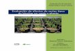 Evaluación de efectos de varios tipos de biochar en suelo ... · FACULTAT DE CIÈNCIES Secció de Ciències Ambientals Evaluación de efectos de varios tipos de biochar en suelo