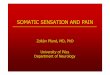 Somatic sensation and pain - NeurologyHomePageneurology.pote.hu/neuro/modules/stud/data/061009e.pdf · Free nerve endings -hairy & hairless skin -C fibers ... • Somatic pain originates