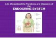 fd endocrine system - abss.k12.nc.us€¦ · ENDOCRINE SYSTEM Adrenal Cortex Addison's disease: Caused by hypofunctioning of the adrenal cortex. ... disease, high blood pressure,