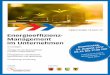 Energieeffizienz- Management im Unternehmen · 2017-06-09 · 12.30 Stehlunch, Besuch Tischmesse, Networking 13.45 Checkliste / Leitfaden zur Erstellung eines Energieeffizienz-Managementsystems