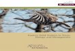 Eastern Wild Turkeys in Texas: Biology and Management · 2 Eastern Wild Turkeys in Texas: Biology and Management ... Common Terms for Wild Turkeys Poult Turkey of either sex from