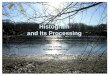 Histogram and Its Processing - vscht.czuprt.vscht.cz/mudrova/ip/lectures/03-HISTOGRAM/Histogramen.pdf · Histogram and Its Processing 3rd Lecture on Image Processing Martina Mudrová