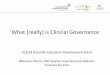 ‘What [really] is Clincial Governance - acslm.ie · Integrated Corporate and Clinical Governance “The main lesson I take ... –4Ps patient, professional, processes, patterns