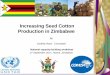 Increasing Seed Cotton Production in Zimbabwe - …unctad.org/meetings/en/Presentation/1617K_Zimbabwe_Godfrey_Buka... · Increasing Seed Cotton Production in Zimbabwe By Godfrey Buka