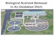 Biological Nutrient Removal In An Oxidation Ditch · Evaluating the Existing WWTP The Issues •Separated collection system is susceptible to high inflow and infiltration (I/I) during