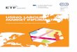 USING LABOUR MARKET INFORMATION - Cedefop · anticipation and matching of skills supply and demand: • Volume 1: how to use labour market information ... Using labour market information