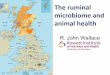 The ruminal microbiome and animal health - USDA ARS · isolated from bovine rumen fluid and ... comparative metagenomics. ... The ruminal microbiome and animal health