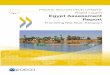 EGYPT ASSESSMENT REPORT PRIVATE SECTOR …€¦ · PRIVATE SECTOR DEVELOPMENT Project Insights Egypt Assessment Report Promoting Nile River Transport EGYPT ASSESSMENT REPORT: PROMOTING
