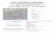 YURI LANDMAN ENSEMBLE - SILUH RECORDS: HOME · YURI LANDMAN ENSEMBLE feat. ... Liam Finn, The Luyas, The Veils, Melt-Banana, Micachu & The Shapes ... the ability to compose and play