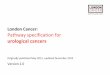 London Cancer: Pathway specification for · London Cancer: Pathway specification for urological cancers ... This update has been carried out by the Urology Pathway Co-Directors and