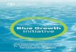 Blue Growth Initiative - Food and Agriculture Organization · FAO’s Blue Growth Initiative FAO’s Blue Growth Initiative seeks to maximize economic and social benefits, while minimizing