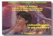PROGETTO e-LEARNING IN PEDIATRIA Cattedra di Pediatria ... · Linfoadenopatia in età pediatrica F. Chiarelli PROGETTO e-LEARNING IN PEDIATRIA Cattedra di Pediatria Facoltà di Medicina