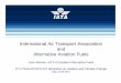 International Air Transport Association and Alternative ...goldfinger.utias.utoronto.ca/IWACC2/IWACC2/Program_files/Mamen.pdf · International Air Transport Association and Alternative