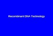 Recombinant DNA Technology - uenf.bruenf.br/Uenf/Downloads/LBT_8017_1286564736.pdfrDNA Technology • Restriction Enzymes and DNA Ligase • Plasmid Cloning Vectors • Transformation