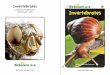 Invertebrates - finchscience [licensed for non-commercial ...finchscience.pbworks.com/w/file/fetch/111348379/invertebrates book.pdf · cnidarians, echinoderms, ... octopuses, worms,
