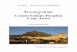 Traumatologie - News | gruhu.ch · Gruhu – Einsatz in Südafrika Traumatologie am Groote Schuur Hospital Cape Town Februar bis Mai 2008 Ein Bericht von Vincent Wettstein