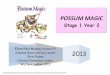 POSSUM MAGIC - Grafton Public Schoolgraftonpublicschool.com.au/Libweb/Stage 1 NC English/Possum Magic... · Elyse Reid Madang Avenue PS, Suzanne Ryan Literacy Leader & Chris Fraser