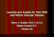 Hudson, Henry- Lucentis and Avastin for Wet AMD and …_Henry.pdf · Lucentis and Avastin for Wet AMD ... 1 2 3 2000 2020 1.75 2.95. ... Lucentis to focal laser to focal laser plus